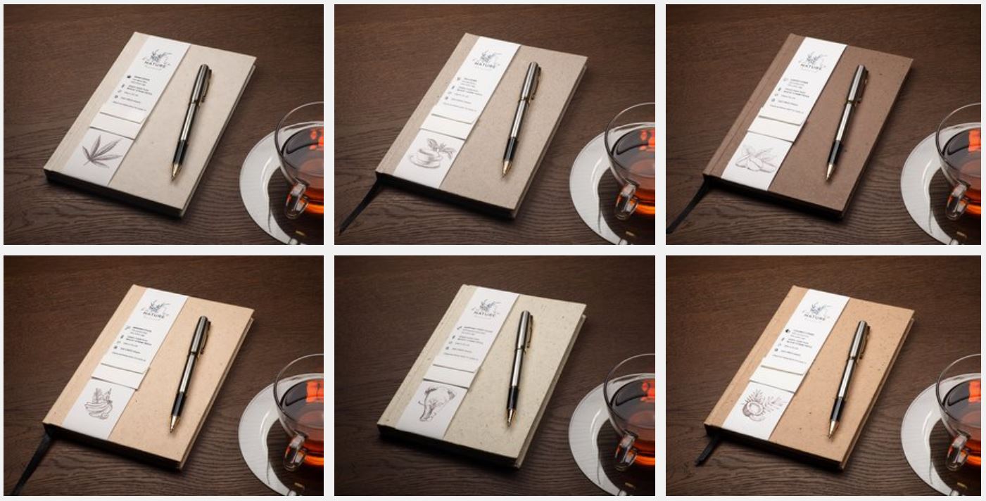 Märkmik TAGASI LOODUSE JUURDE